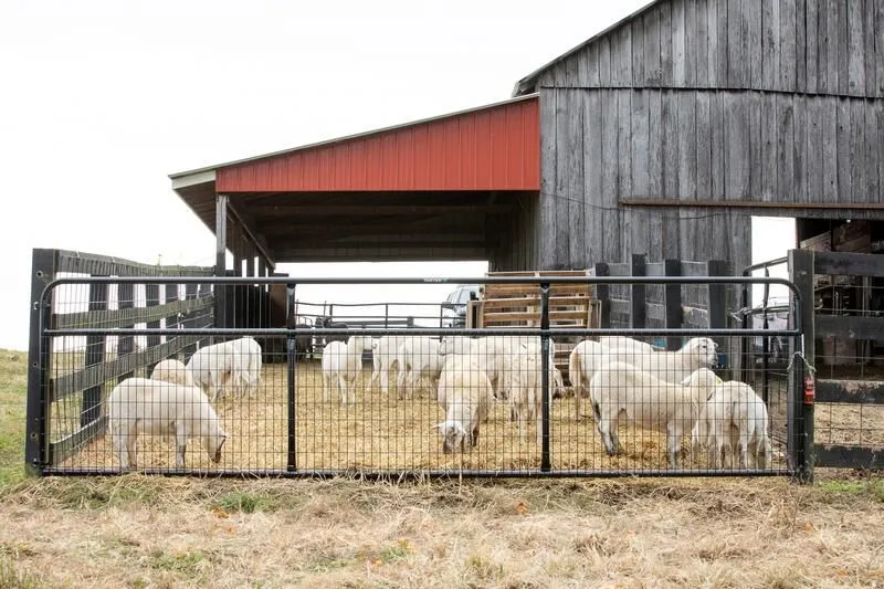 Tarter’s Watchman Wire Mesh Gate is a great light confinement option for smaller animals.