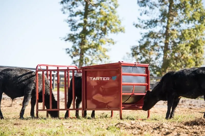 Tarter’s Calf Creep Feeder 650 with calf eating from feeder. Designed to maximize growth of calves. 