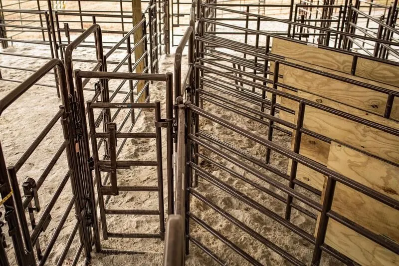 Tarter's Rough Stock Arena Swinging Alley Gate to help control flow of livestock.