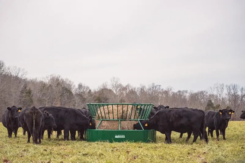 Tarter’s Bextra Hay Feeder. Modified cone feeder prevent cattle from eating from top and wasting hay.