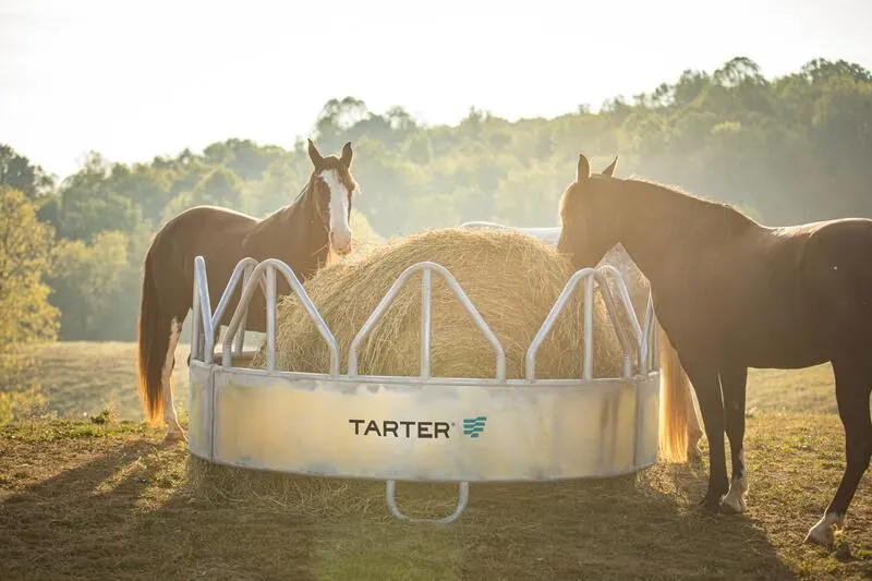 Multiple horses feeding from Tarter’s Equine Pro Galvanized Hay Feeder with Hay Saver