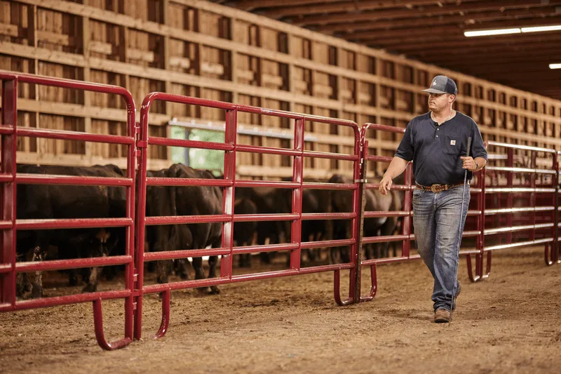 Tarters Bullmax Panel being used in heavy-confinement situation.