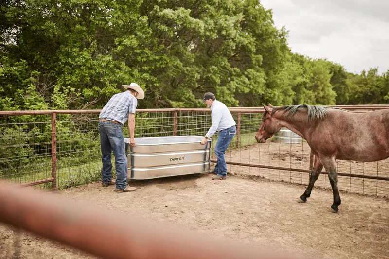 Tarters Oval Ultra 170 water trough being placed in arena with horse.