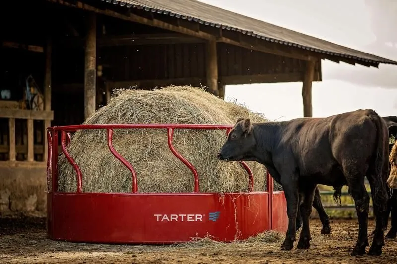 Tarter’s Titan Cattle Feeder w/ Hay Saver with cattle eating from the round bale feeder.