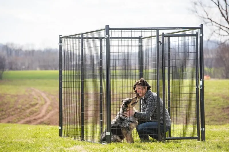 Tarter’s Blue Champion Kennel is America’s most durable kennel of its size. Petting dog in kennel.