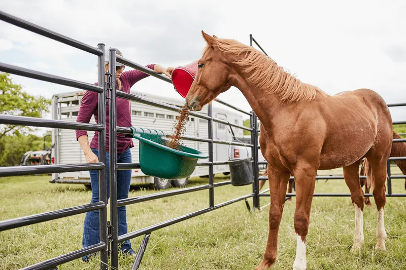 Portable Gate Feeders - Tarter USA