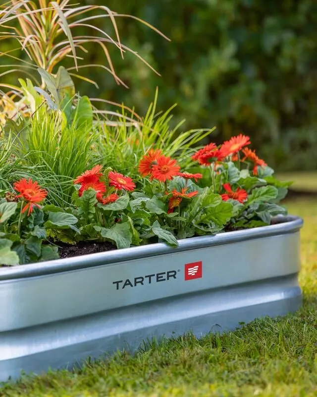 6 Ft Oval Raised Bed Planter | Tarter USA