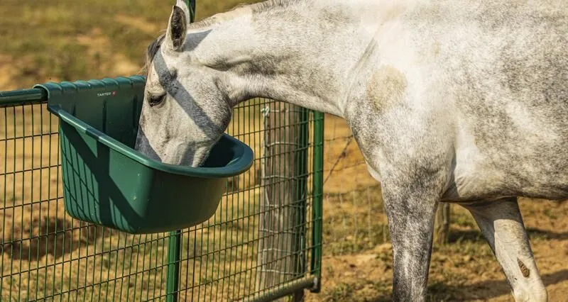 Portable Gate Feeders - Tarter USA